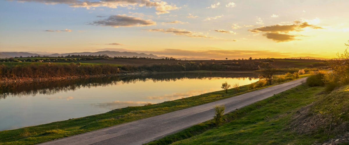 A road beside a lake at first light